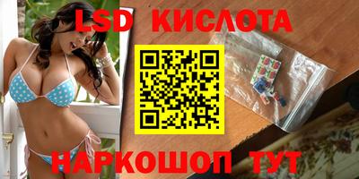 прущие крисы Новозыбков