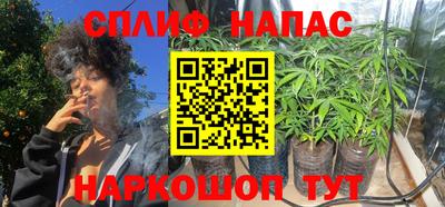 прущие крисы Новозыбков
