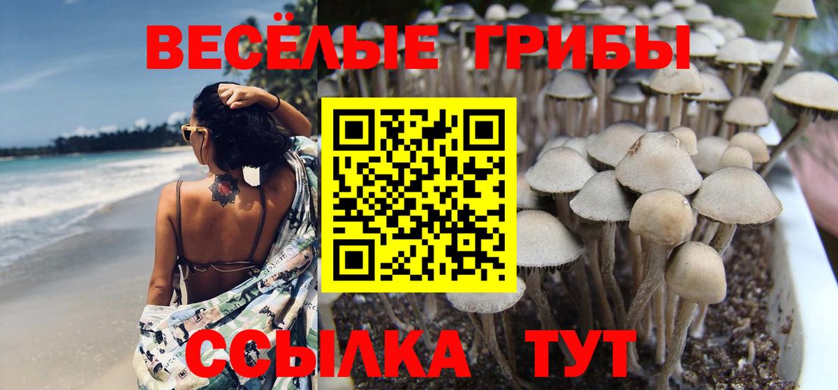 Псилоцибиновые грибы мицелий Сызрань